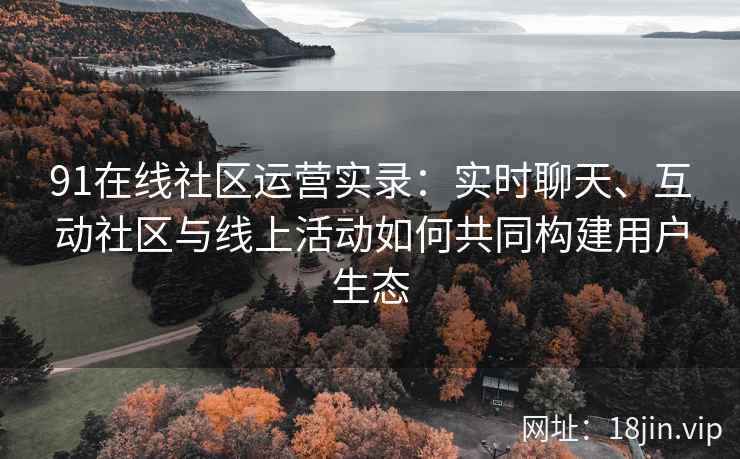 91在线社区运营实录：实时聊天、互动社区与线上活动如何共同构建用户生态
