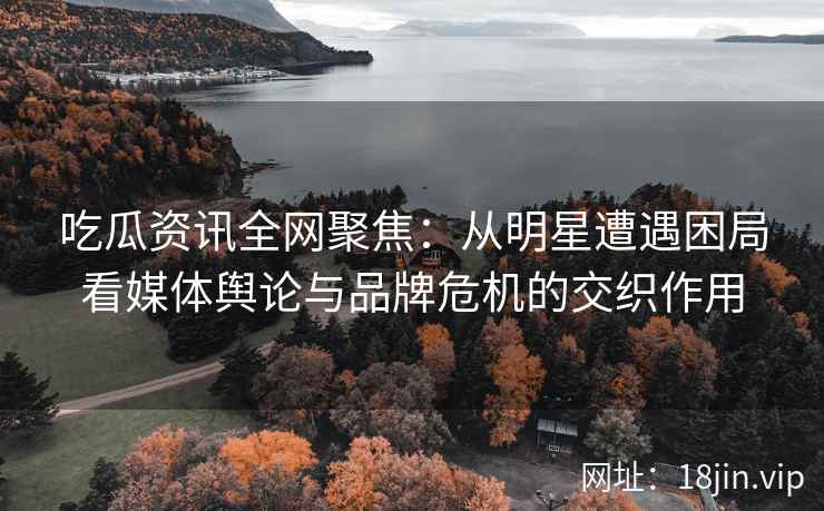 吃瓜资讯全网聚焦：从明星遭遇困局看媒体舆论与品牌危机的交织作用