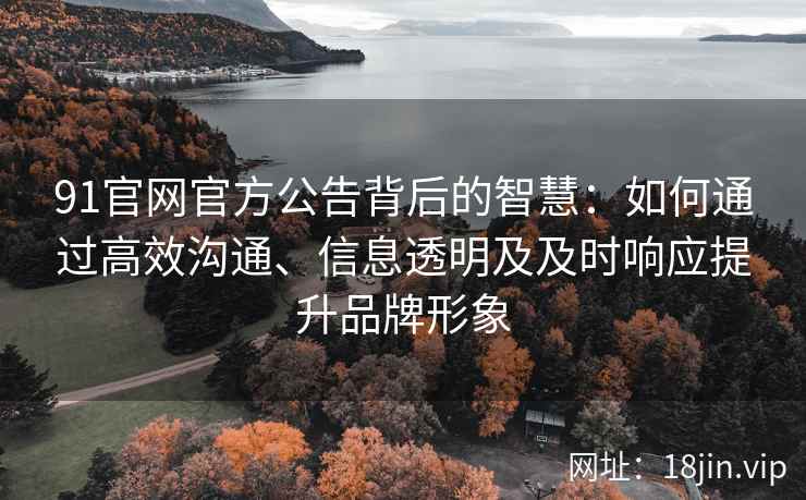 91官网官方公告背后的智慧：如何通过高效沟通、信息透明及及时响应提升品牌形象