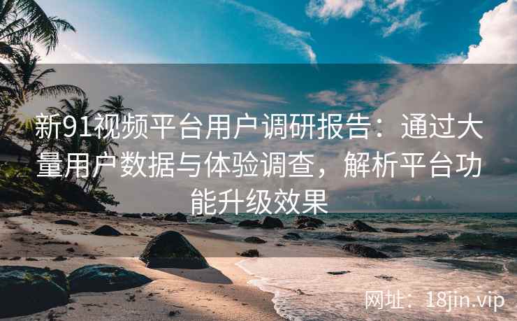 新91视频平台用户调研报告：通过大量用户数据与体验调查，解析平台功能升级效果