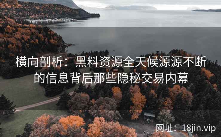 横向剖析：黑料资源全天候源源不断的信息背后那些隐秘交易内幕